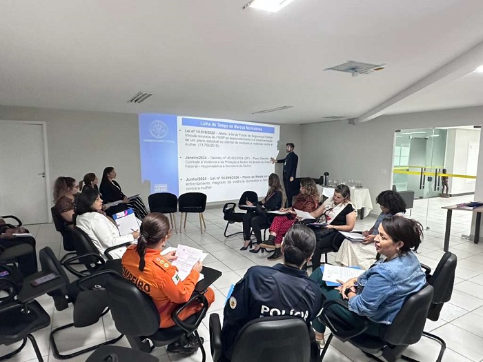 Rede Distrital de Proteção à Mulher elabora plano de metas para combate à violência doméstica